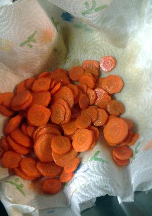 A picture of fried carrot chips.