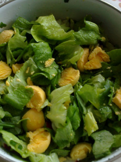 A picture of Lettuce salad with eggs.