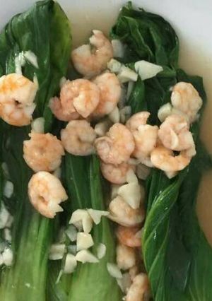 Foto resep Pokcoy siram udang saos tira