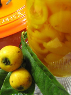A picture of Loquat Compote in 20 Minutes.