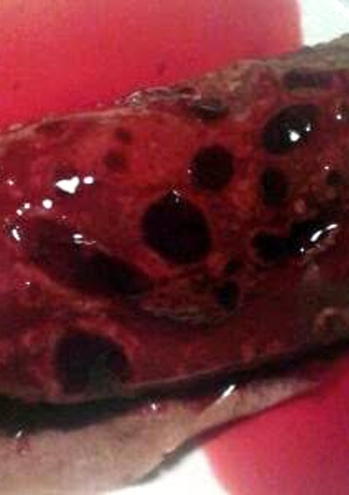 A picture of Cherry Chocolate Crepes.