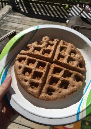 A picture of Chocolate Waffles.