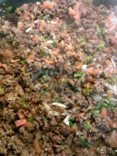 A picture of easy ground beef dish.