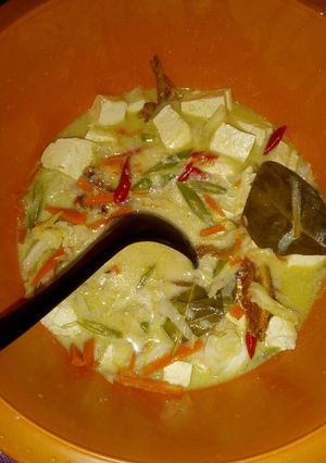 Foto resep Sayur Lodeh