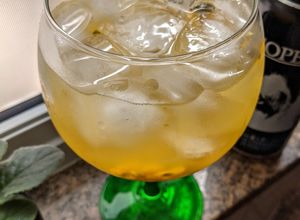 Foto de Gin com Maracujá e Cardamomo