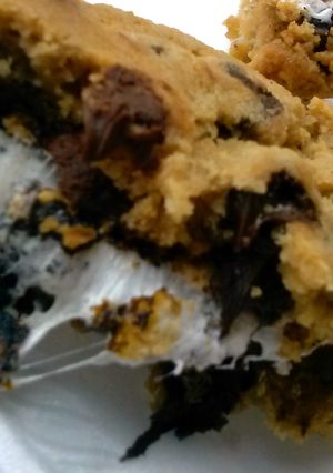 A picture of Chocochip S'Mores.