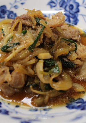 A picture of Bulgogi.