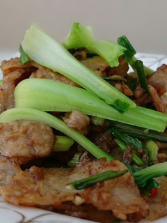 A picture of Pork Slice In Oyster Sauce With Bak Choy.