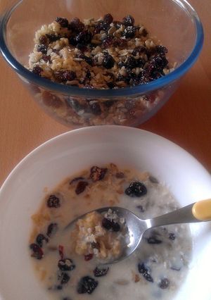 A picture of Vickys Berry & Rice Muesli, GF DF EF SF NF.