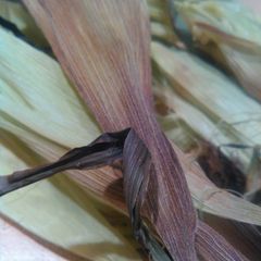 A picture of Corn on the cob, no boil.