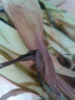 A picture of Corn on the cob, no boil.