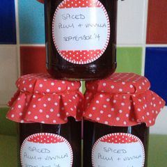 A picture of Vickys Plum Jam with Add-In Variations GF DF EF SF NF.