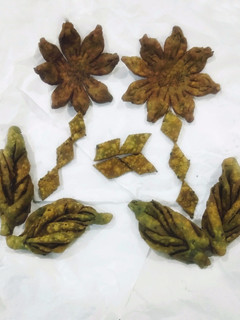પાલક પૂરી (Palak Poori Recipe in Gujarati) રેસીપી મુખ્ય ફોટો