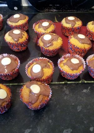 A picture of chocolate and coconut cakes.