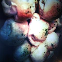 A picture of Donkey Balls.