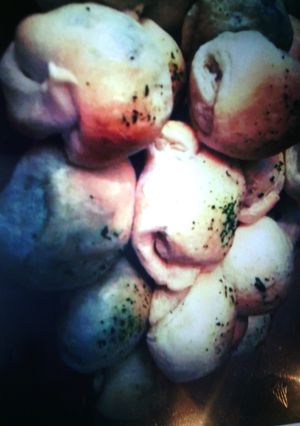 A picture of Donkey Balls.