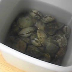 How to Degrit Manila Clams A picture of How to Degrit Manila Clams.