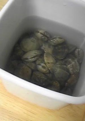 A picture of How to Degrit Manila Clams.