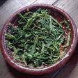 Plecing Kangkung