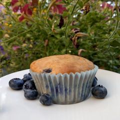 A picture of Blueberry Muffins 💜.