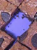 Brownie de Oreo
