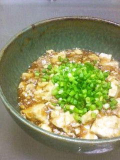 A picture of Simple Tofu and Pork with Thick Chinese-style Gravy Sauce.