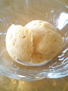 A picture of Vanilla Ice Cream With No Cream.