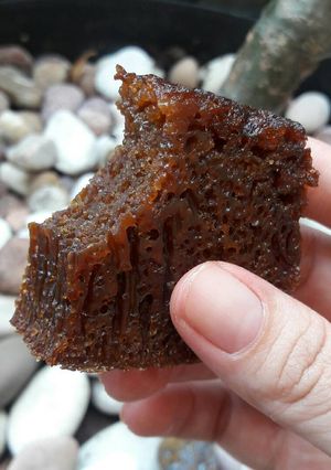 Foto resep Karamel Cake