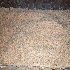 A picture of Breadcrumbs.