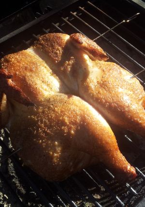 A picture of Spachcocked Chicken.