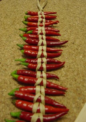 A picture of A Cute Way To Dry Red Chili Peppers.