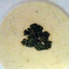 A picture of Cream of Fennel.