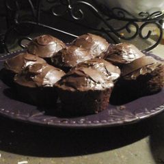 A picture of The best cupcakes in the world!!!.