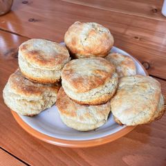 A picture of Biscuits.