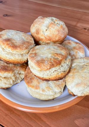 A picture of Biscuits.