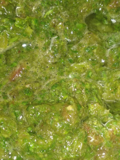 A picture of Pudina chutney.