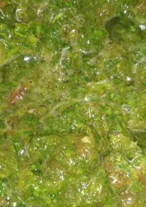 A picture of Pudina chutney.