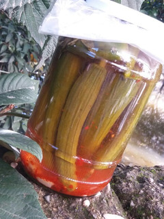 عکسی از دستور خیارشور