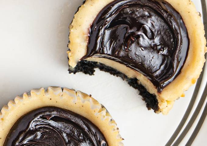 Tasy Mini Baileys Oreo Cheesecakes