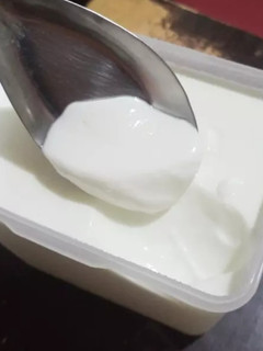 DIY自製優格 吃過回不去 的食譜成品照片