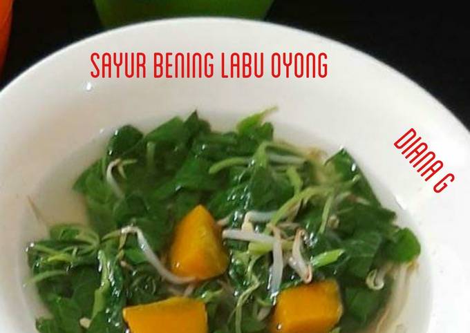 Sayur Bening Labu oyong