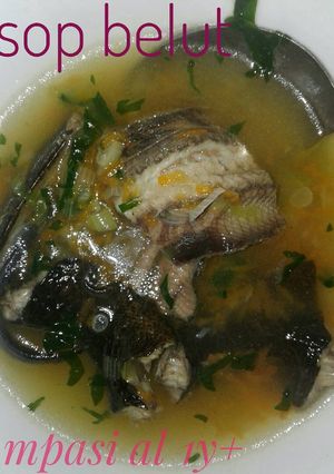 Foto resep Sop belut mpasi 1y+