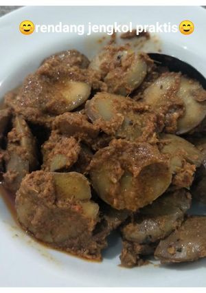 Foto resep #5 Rendang jengkol praktis