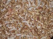 A picture of sesame seeds fennel