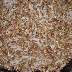 A picture of Fennel seeds mukhwas.