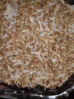 A picture of Fennel seeds mukhwas.