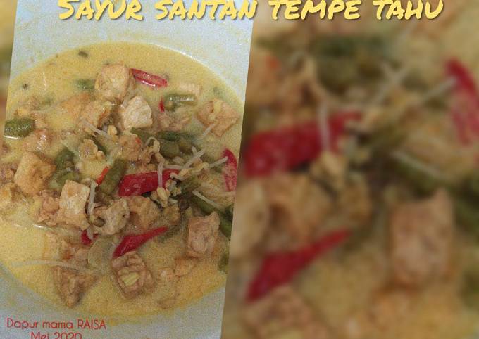 Cara Gampang Membuat Sayur santan Tempe Tahu, Bikin Ngiler