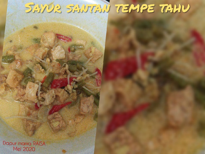 Cara Gampang Membuat Sayur santan Tempe Tahu, Bikin Ngiler