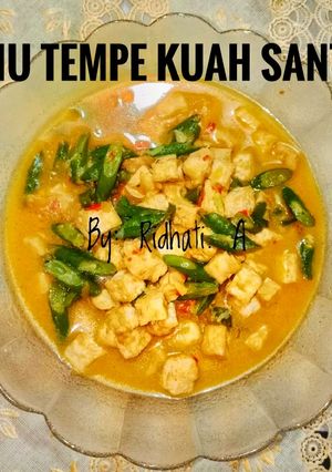 Foto resep Tahu Tempe Kuah Santan
