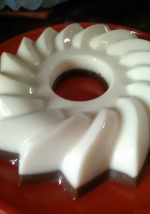 Foto resep Puding susu coklat